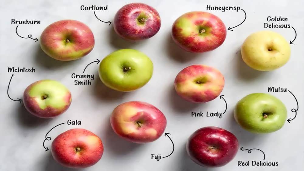انواع سیب