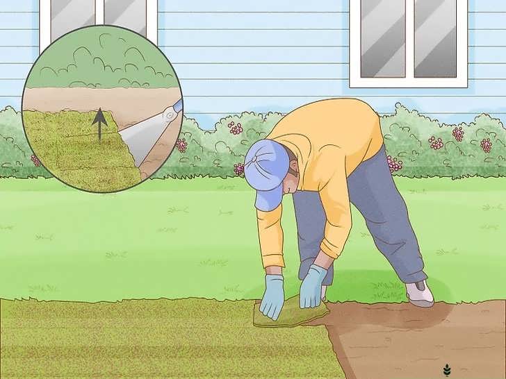 جمع آوری نوارهای خزه