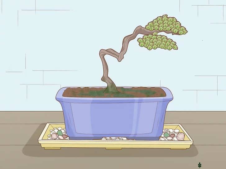 افزودن ویژگی های گلدان