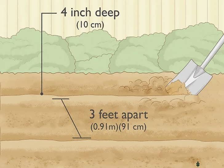 ایجاد ردیف های صاف در خاک