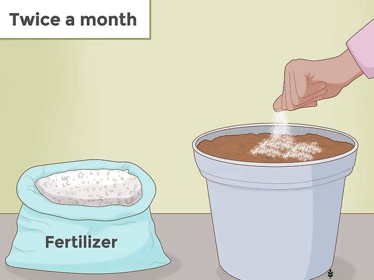 کوددهی دو بار در ماه