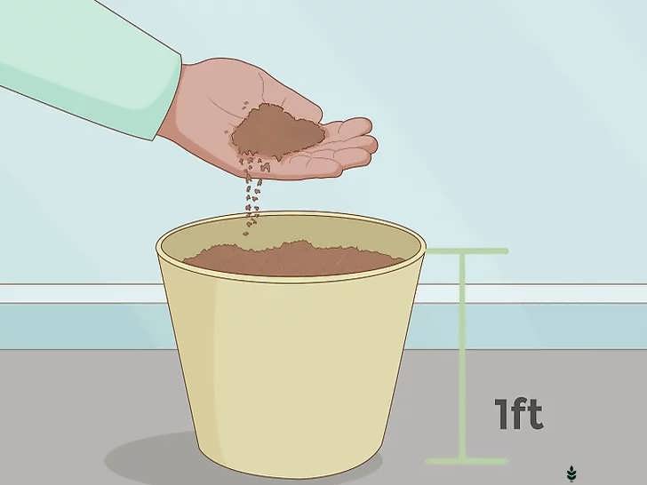 پر کردن گلدان با خاک لومی