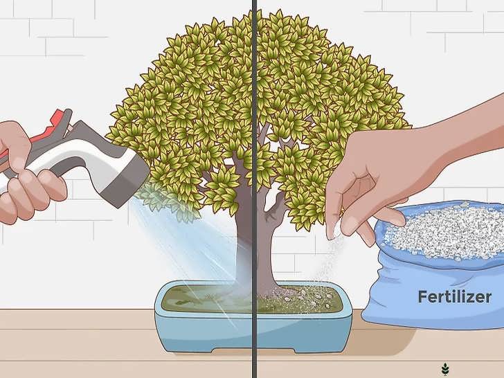 تأمین آب و غذا