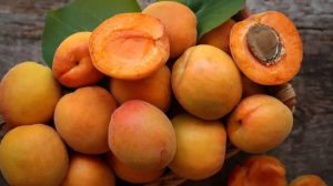 زردآلوهای تازه