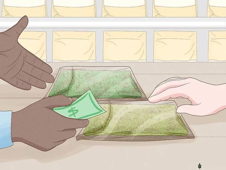 جمع آوری خزه