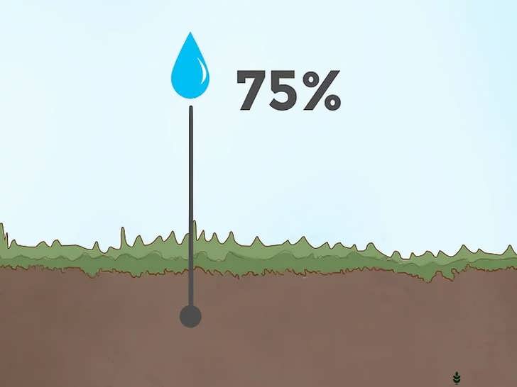 انتخاب محل با رطوبت بالا