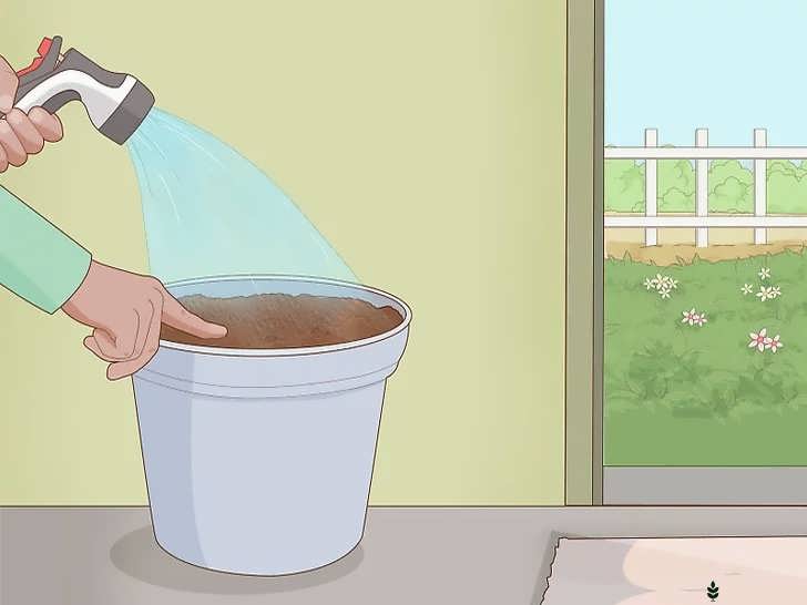 مرطوب نگه داشتن خاک