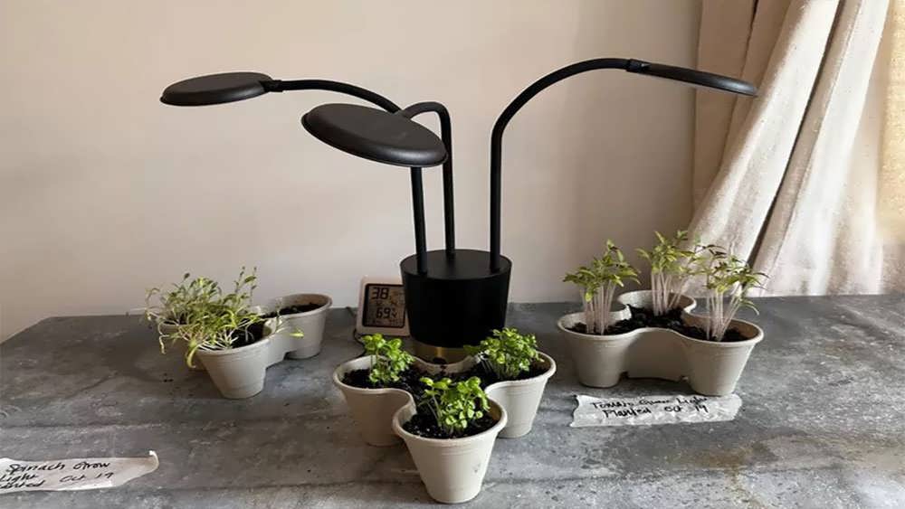 پایه چراغ رشد ال ای دی