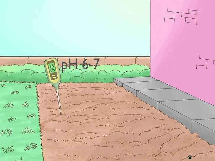 انتخاب محل مناسب برای کاشت در زمین