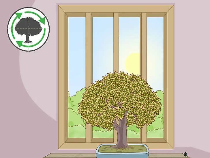 آفتاب صبح و سایه بعدازظهر