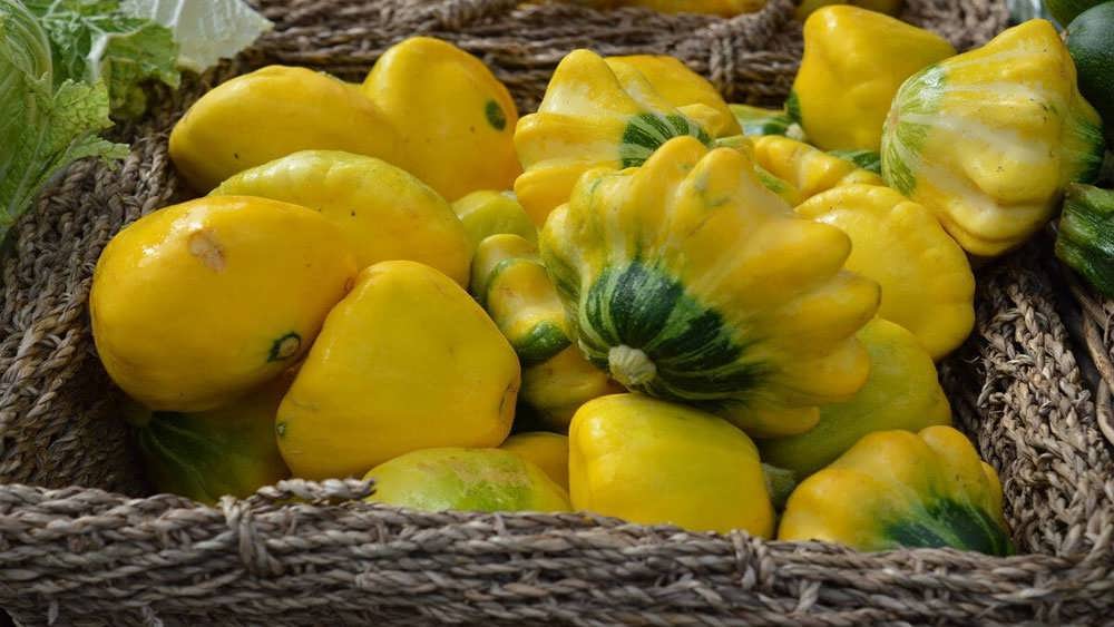 کدوی پاتیسون