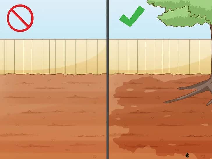 انتخاب محل نیم سایه