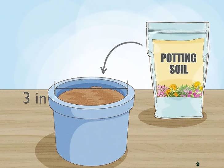 پر کردن گلدان با خاک گلدانی