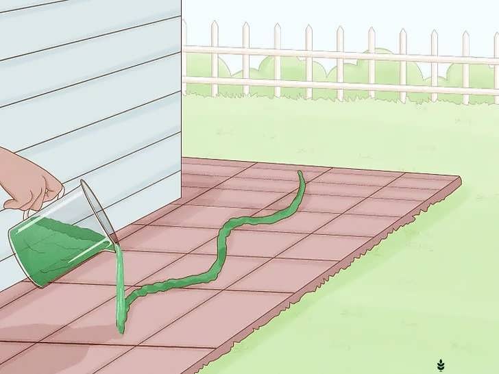 ریختن مخلوط خزه روی سطوح