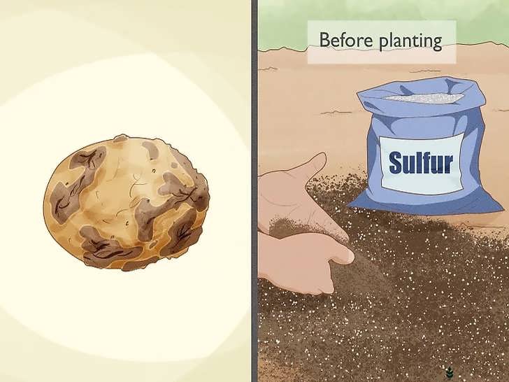 درمان جرب با کاهش