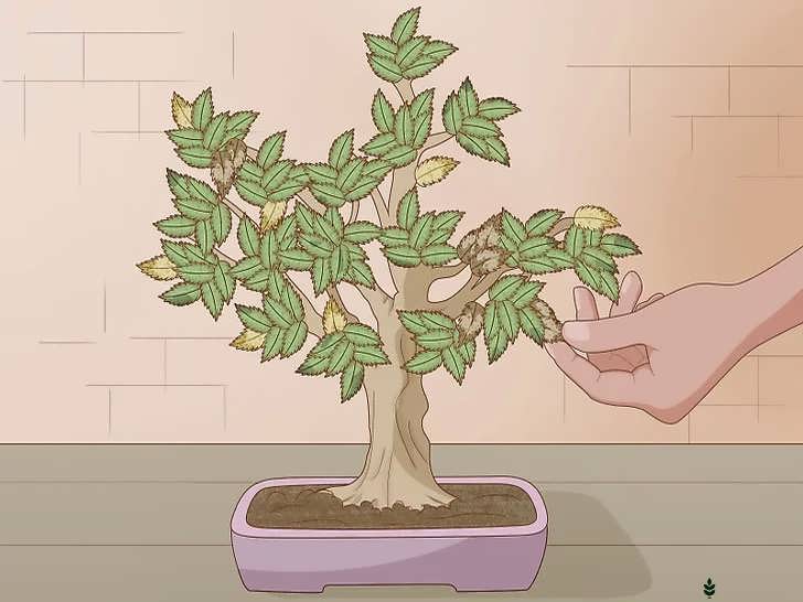 توجه به فصل ها