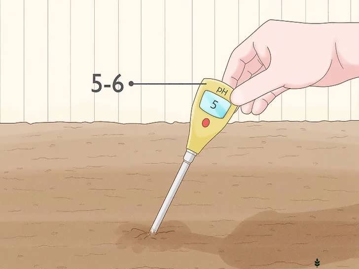 آزمایش pH خاک