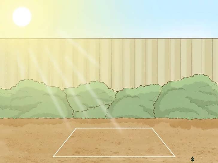 انتخاب محل آفتابی برای کاشت