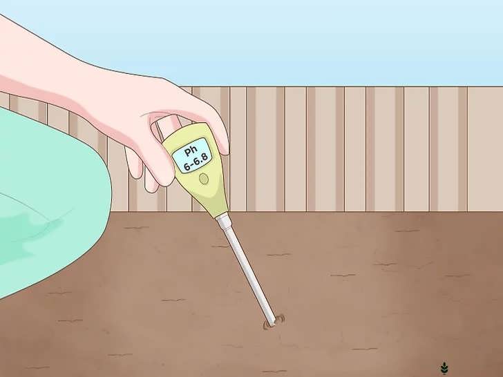 انتخاب محل با خاک با زهکشی خوب